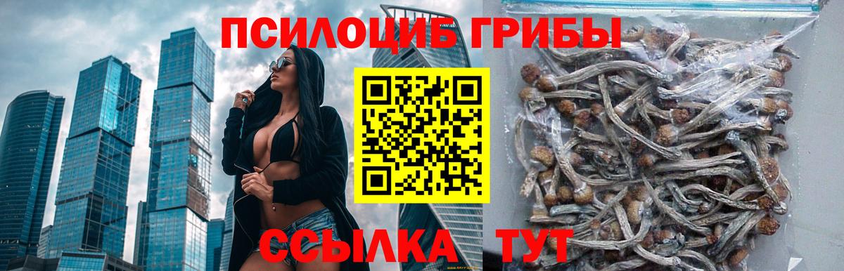 Псилоцибиновые грибы ЛСД  Псилоцибиновые грибы Magic Shrooms  Вход с VPN  Екатеринбург 